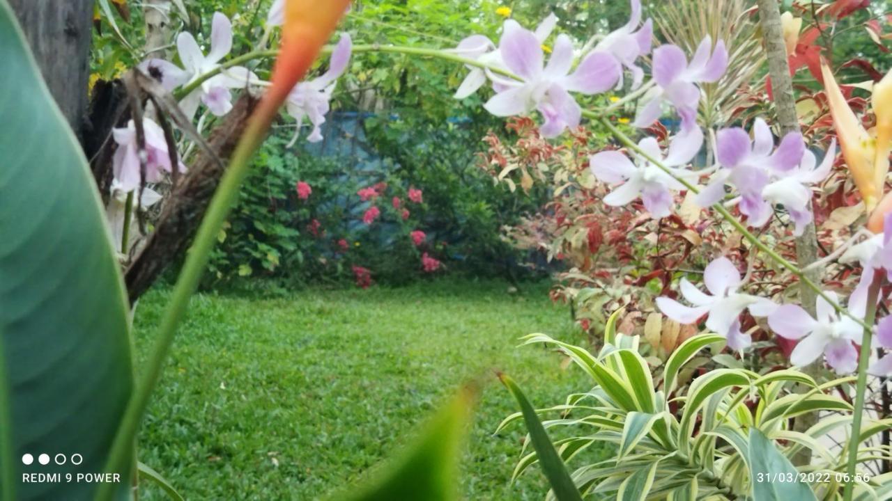 Marari Sabari Home Stay 马拉利库兰 外观 照片